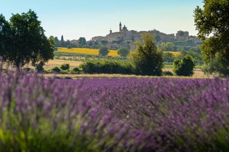 La Toscana tra campi di lavanda e borghi medievali: un paesaggio che incanta
